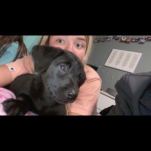 Meet your Posher, London